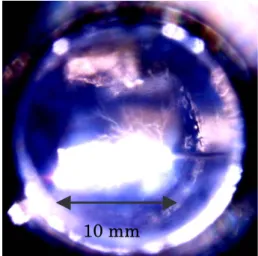 Figure 1 shows a typical photograph of the arc  discharge (thermal plasma) produced by our experimental  apparatus using a Blumlein type Pulse Forming Network  (B-PFN) at 10.1 MPa and 323 K