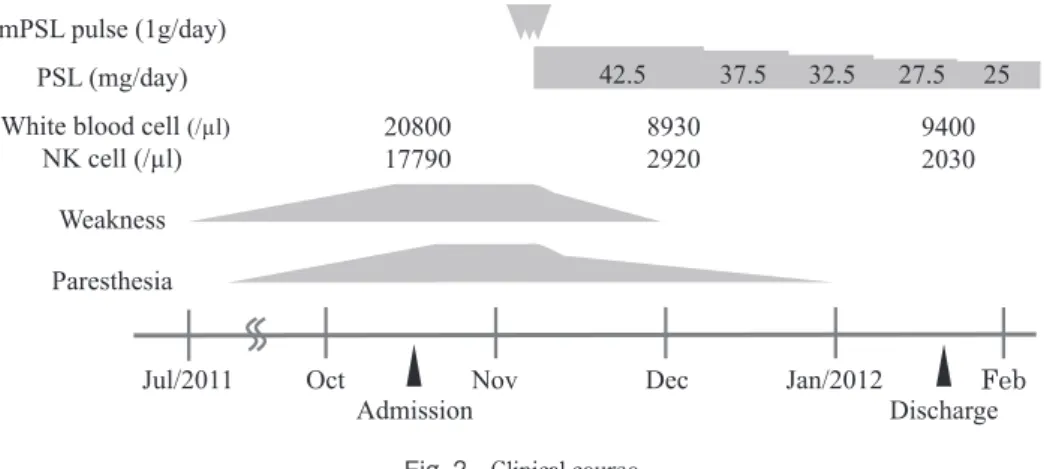 Fig. 2 Clinical course.