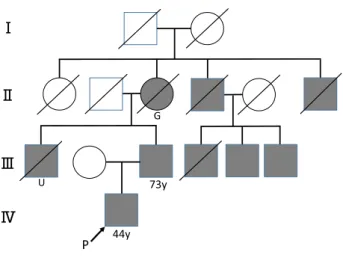 Fig. 1　Pedigree of the family.