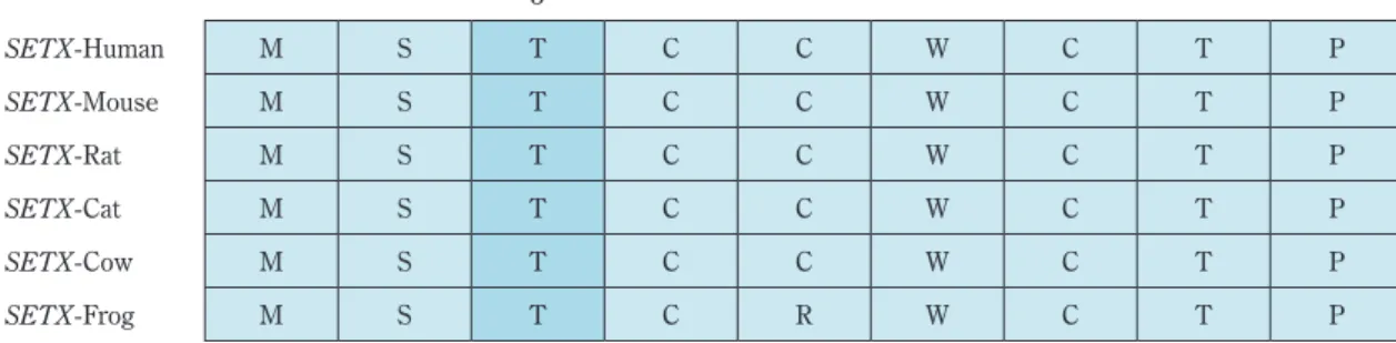 Table 3　Sequence aligment for amino acids revealed the mutation site.