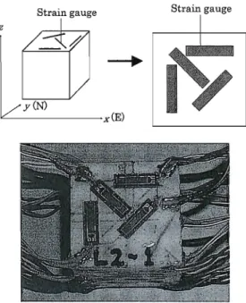 Figure 5 Arrangement of strain coordinate system and sample for DSCA.