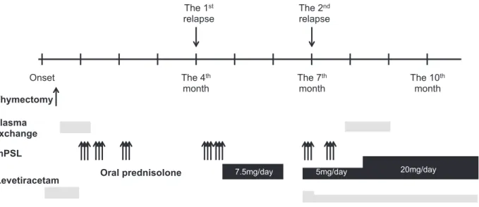 Fig. 4 Clinical course of the patient.