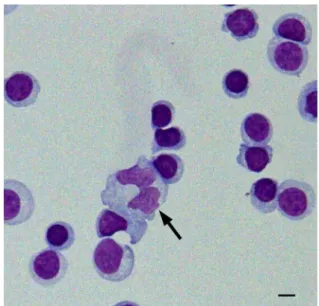 Fig. 2 Clinical course.