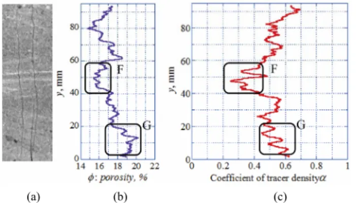 Figure 24. Three-dimensional pore distribution image of  Kimachi sandstone taken by micro-focus X-ray CT system.