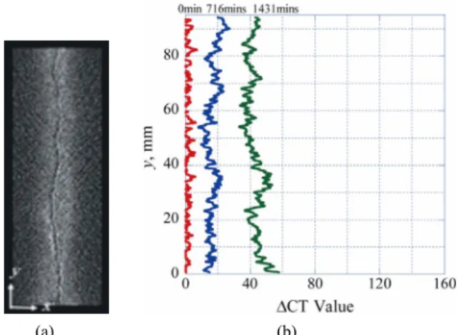 Figure 13. Extraction of CT value increment by image sub-  traction and moving averaging for Case 2