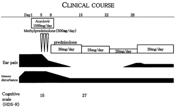 Fig. 3 Clinical course upon admission.