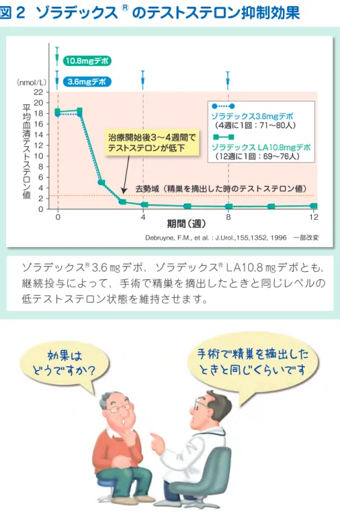 図 2  ゾラデックス ®  のテストステロン抑制効果 ゾラデックス 3.6 ㎎デポ、ゾラデックス LA10.8 ㎎デポとも、 継続投与によって、手術で精巣を摘出したときと同じレベルの 低テストステロン状態を維持させます。期間（週）（nmol/L） 去勢域（精巣を摘出した時のテストステロン値）048 120246810121416182022平均血清テストステロン値10.8mgデポ3.6mgデポ