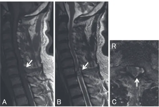 Fig. 2 Pathological findings.