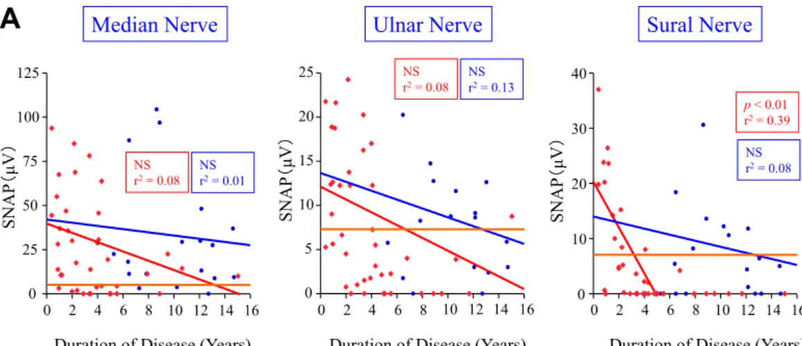 Fig. 2 Effect of liver transplantation on nerve conduction velocity in FAP patients.