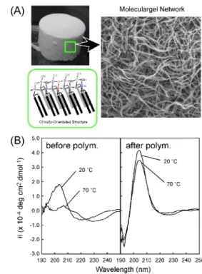 Fig. 3 (A) Photo and SEM image, and (B) CD  spectra of nanomesh structure formed from Gln-Si.