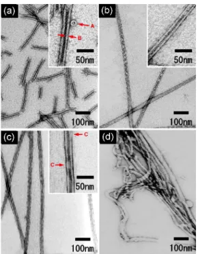 Fig. 4 TEM images of (a, b, c) nanotubular aggregates of Gln-Py and (d) imprinted polystyrene fibrils