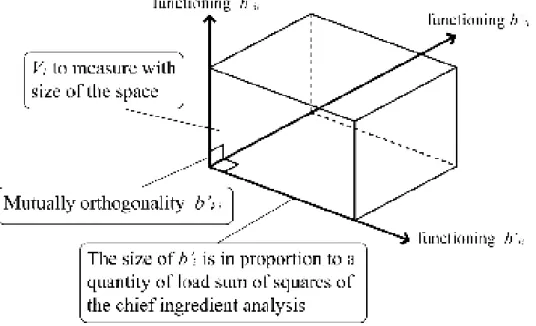 Figure 1. Size of the Functioning Vector Space 
