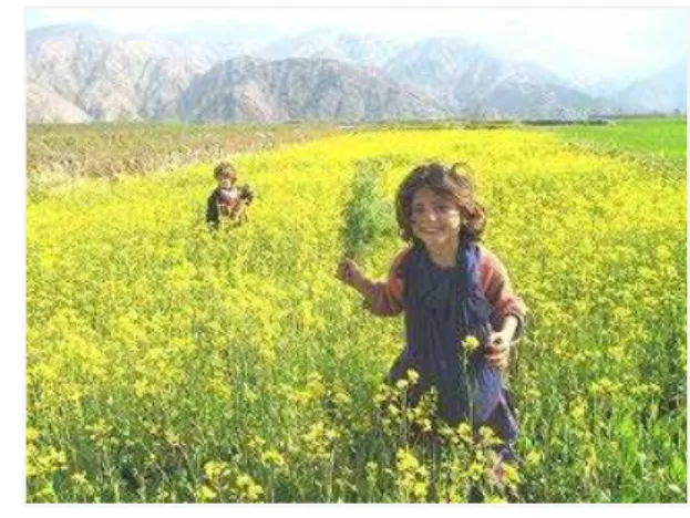 図 1 （その３）最初の講義「中村 哲医師の土木事業」                   アフガニスタンの子供たちを写した上記2 枚の写真がある。「中村 哲医師の土木事業」 によって、 如何に子供たちの生活が激変したかを物語るものである。周知のように、2001年の同時多発テロ後、アフガニスタンでは米軍侵攻による紛争が勃発し、すでに生じていた大干ばつによる水不足とも相俟って、国内で多数の餓死者や病死者が発生した。いまもその状況は続い ている。写真 1 は、泥水を飲まざるを得ないアフガニスタンの子供たちの悲惨