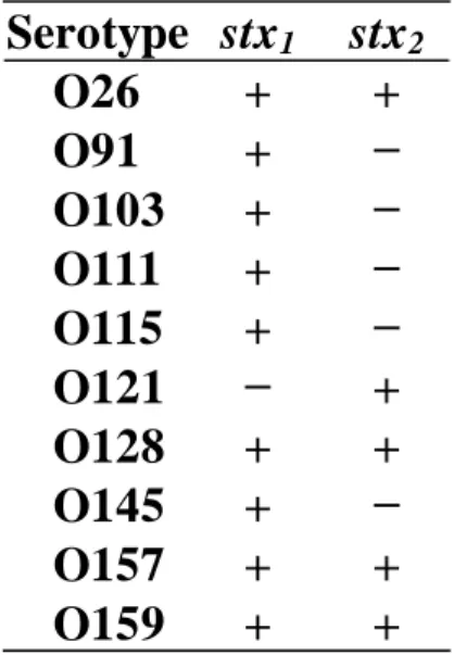 Table 1      STEC strains isolated from patients 
