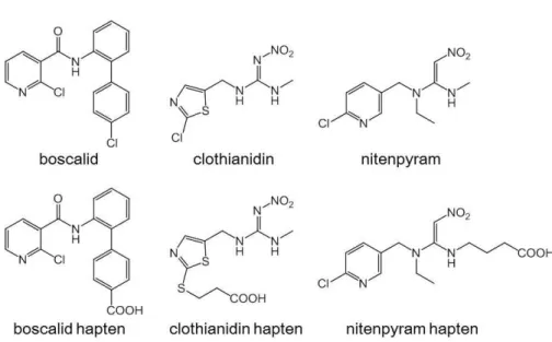 Fig. 1    Structure of boscalid, clothianidin, nitenpyram and their haptens. 
