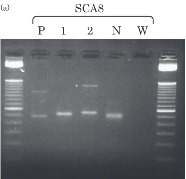 Fig. 2 Gene analysis of ATXN8OS.