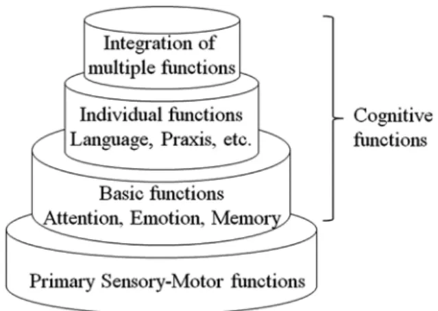 Fig. 1 Organization of cognitive functions.