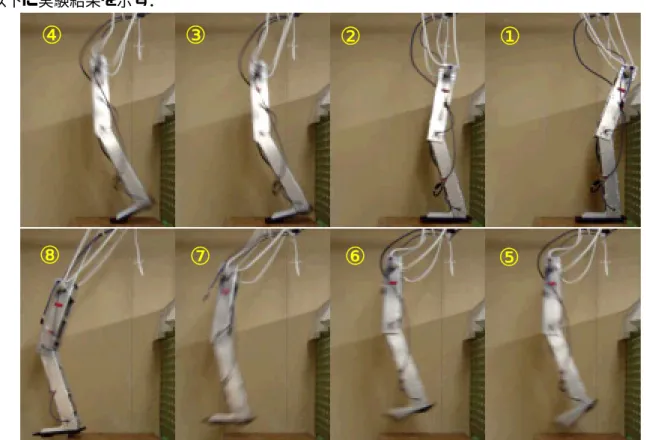 図 3.13 は跳躍動作の連続写真で，図 3.14 は足首関節の角度である．足首関節の角度に注目する と実験開始時に膝を前に出すように足首を曲げており，そのまま曲げ続けて倒れこみ γ が 14[deg] に達すると足首を伸ばして跳躍した．赤色の点線で挟まれたところが跳躍するために変化した角 度であるが，その角速度は 242[deg/s]と設計で用いた 300[deg/s]まで達してはいなかった．なお， 跳躍高さは約 0.06[ｍ]，跳躍距離は約 0.15[ｍ]であった．これは足首のトルクがシミュレーション 