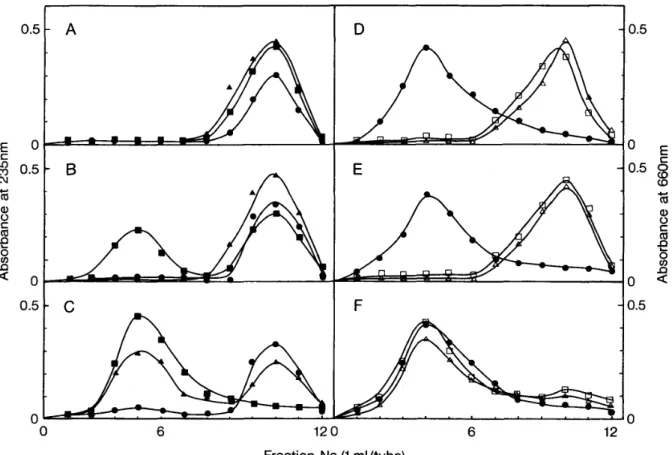 Fig  1 .   A d s o r p t i o n  o f  P e c t i c  Enzymes t o  A 血 n i t yColumn w i t h  C r o s s  L i n k e d  C e l l  W a l l s 
