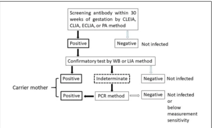 FIGURE 1 | Algorithm to determine HTLV-1 virus carriers among pregnant
