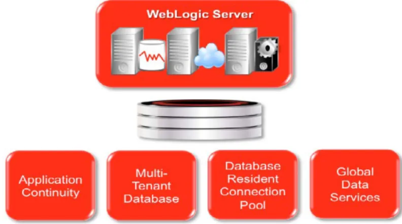 図 5：Oracle WebLogic Server 12c と Oracle Database 12c の統合 