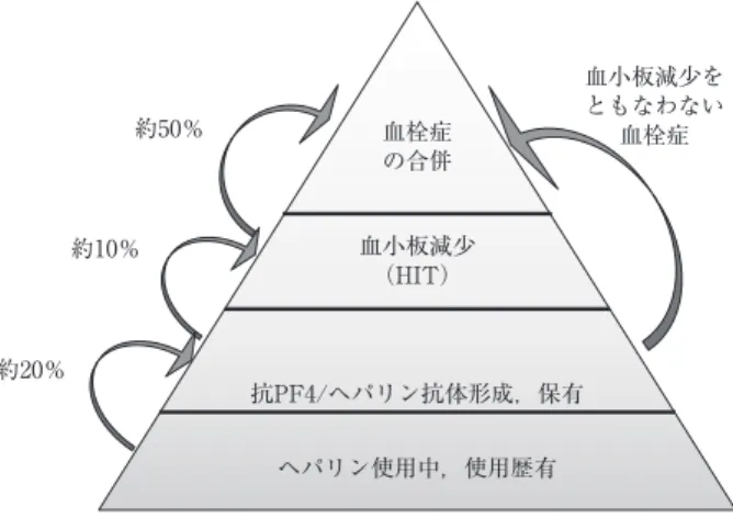 Fig. 1 HIT の発症様式：氷山モデル．血小板減少（HIT）抗PF4/ヘパリン抗体形成，保有ヘパリン使用中，使用歴有血栓症の合併 血小板減少をともなわない血栓症約20％約10％約50％総説脳梗塞とヘパリン起因性血小板減少症山本 晴子１）＊宮田 茂樹２）要旨：ヘパリン起因性血小板減少症（HIT）は，血小板減少を特徴とする免疫的機序による症候群で，発症頻度は低いものの，ヘパリン投与に合併して多彩な血栓・塞栓症をひきおこす重篤な疾患である．急性期脳梗塞治療の現場では，様々な血管内治療の開発にともない大量のへ