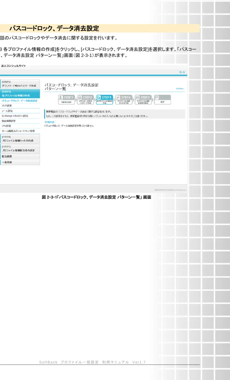 図 2-3-1「パスコードロック、データ消去設定 パターン一覧」 画面 