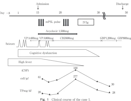 Fig. 1 Clinical course of the case 1.