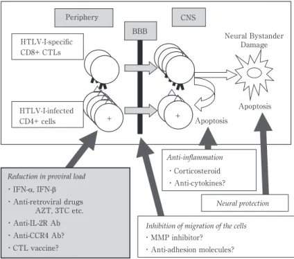 Fig. 1 HAM の発症機序と治療戦略．