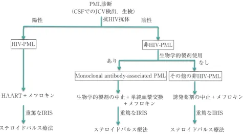 Fig. 3 PML 治療ガイドライン プリオン病及び遅発性ウイルス感染症に関する調査研究班のガイドラインを示す．その他の薬剤とし て，5HT2A セロトニン受容体拮抗薬（クロルプロマジン，ミルタザピン，リスペリドン，オランザ  ピンなど）はメフロキンと作用機序が違っており併用が可能である．抗ウイルス薬（シタラビン，ci-dofovir など）あるいはインターフェロン α はメフロキン投与ができない場合に考慮する．PML診断（CSFでのJCV検出，生検）HIV-PML 非HIV-PML その他の非HIV-P