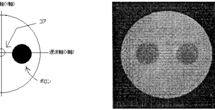 図 2.2  PANDA ファイバの断面図 
