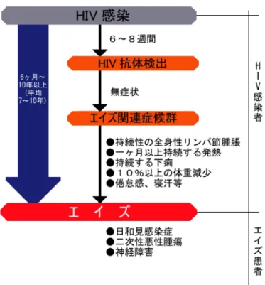 図 2.10: HIV の症状 [40] • 体のあちこちのリンパ腺が腫れる • 原因不明の下痢が続く • 食欲不振 これらは、エイズの前駆症状ともいうべきもので、エイズ関連症候群（ARC） と呼んでいます。 エイズ： さらに症状が進んで体の免疫機能 (抵抗力）が失われてくると、健康体の 時にはこわくない細菌やウイルスやカビ・原虫などが体のあちこちにとりつい ていろいろな病気を引き起こします。（これを「日和見感染症」といいます) 代表的なものは、カリニ肺炎（原虫による重症肺炎で呼吸困難になる）やカン ジダ性