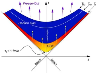 図 1.7: 原子核衝突の時空発展の様子 [2]  衝突後、 QGP が生成され、 Hadronization が起き、凍結し粒子は飛び散っていく。 Bjorken 描像では以上の行程で高エネルギー原子核衝突が起こっていると考えられている。上 で述べたように、我々が直接観測できる情報は、以上の過程を経た全ての粒子の足し合わせで凍 結後の粒子である。 1.3 高エネルギー原子核衝突による強磁場の生成 高エネルギー原子核衝突において、強磁場が生成される可能性が約 30 年前に予言されている。 高エネルギー原子核
