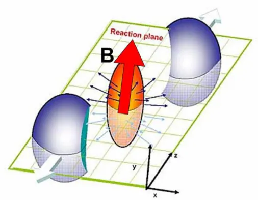 図 1.8: 高エネルギー原子核衝突における強磁場生成の様子 [4]  高密度の 原子核が fm の狭い空間で衝突を起こすことによりきわめて強力な 磁場が生成される。 角運動量を持つと考えらえる。そのため、 participants が作る磁場は y 軸方向の磁場に生成され、 その磁場は spectators が生成する磁場に比べ長く保たれると考えられる。各角運動量は抵抗を受 けて回転が緩くなり、やがて QGP の寿命を迎えると最終的に飛び散ってしまう。つまり、時間が 経つにつれて磁場は減衰するが、 QGP