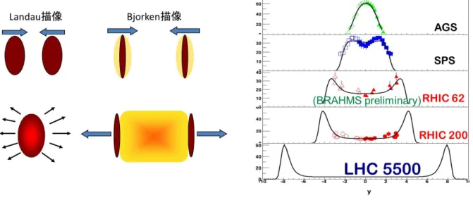 図 1.4: Landou 描像、 Bjorken 描像 ( 左 ) と net proton の rapidity 分布 ( 右 )[7]