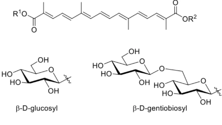 Figure 2.  Crocin and crocin derivatives. 