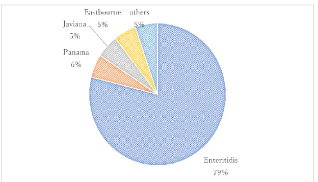 図 1  サルモネラ O9 群  健康保菌者由来株の血清型分布（2013 年） 
