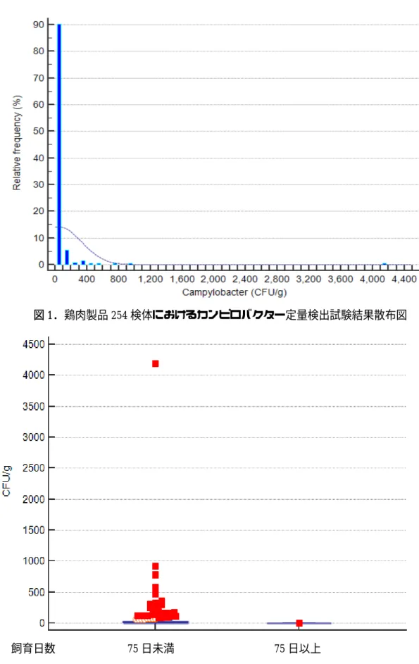 図 2.  検体の由来となる生鳥の飼育日数の別による、カンピロバクター検出結果の比較．  
