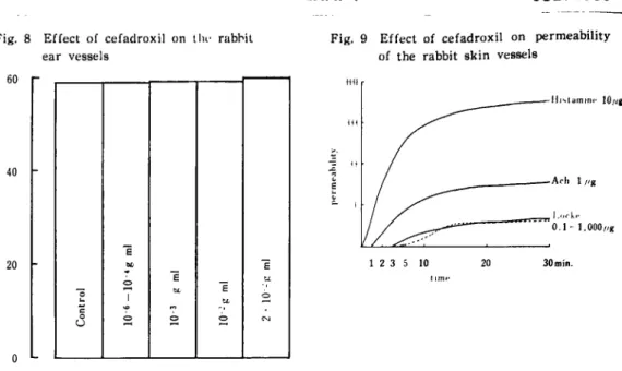 Fig.  8  Effect  of  cefadroxil  on  Ow  rabbit ear  vessels