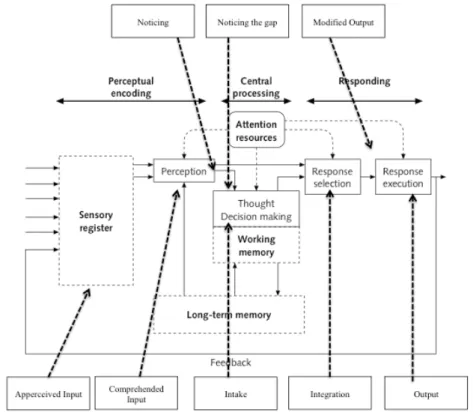 Figure 1. Schematic summary of stages and cognitive processes of interaction-driven  SLA (adapted from Wickens, Lee, Liu and Gordon-Becker, 1997 &amp; Gass, 1988)