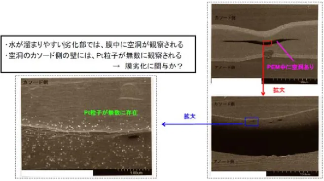 図  X-3  膜劣化のメカニズム  ２−３ 高温低加湿運転について  ①  自動車用 FC の目標の一つである 120℃での運転については，耐久性とともに，伝導 性を出すためにはある程度の湿度が必要となる点が課題である。仮に運転温度 100℃ で考えると相対湿度 50%のとき露点は 80℃になる。120℃では露点は 100℃になる。 120℃，湿度 20％での運転で，0.1s/cm 2 以上の伝導度が出るような膜ができれば， 120℃運転の可能性があるが，今の時点ではそういう膜はまだない。  ②  現状で