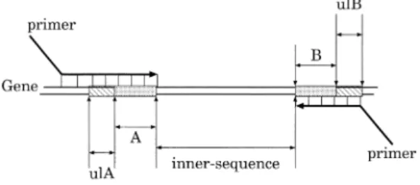 Fig. 4 This illustration shows how to assign a hash- hash-key sequence on target gene sequences