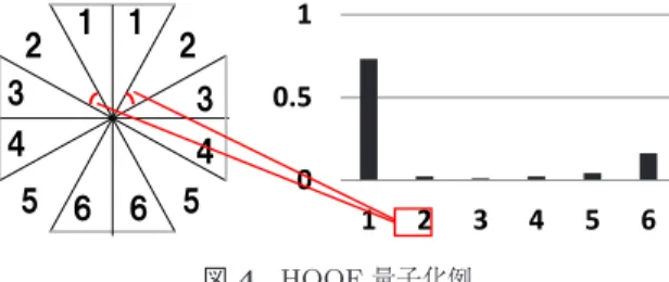 Fig. 4 Example of quantization of HOOF.
