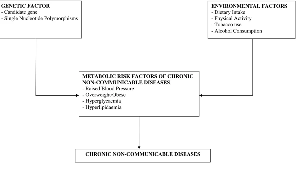 Figure 2. Conceptual framework of genetic and environmental determinants of chronic non-communicable diseases 