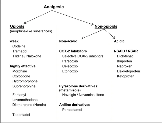 Figure 3: Overview painkillers (analgesics) 