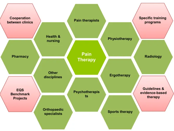 Figure 5: Multimodal pain therapy (modified according to Stork) 