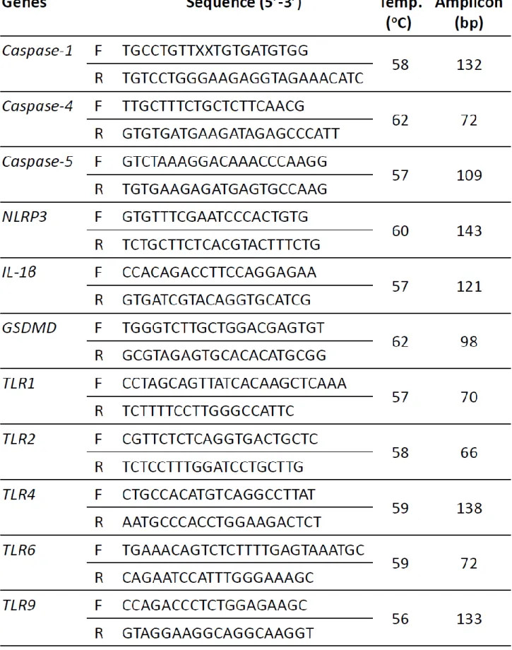 Table VI-1. The nucleotide sequences of each primers used for real time RT-PCR. 