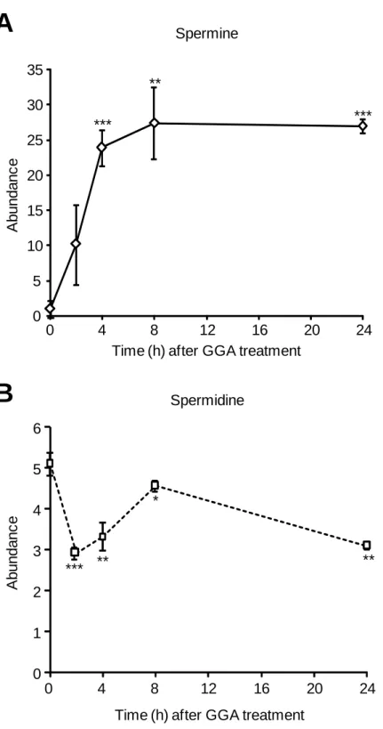 Fig.  II-7.  Rapid  upregulation  of  the  cellular  spermine  level  after  GGA  treatment  in  HuH-7  cells