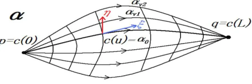 Figure 1: Variation We consider the following variational problems: