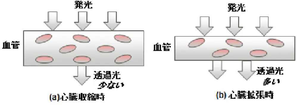 図 1 脈拍計測の原理図